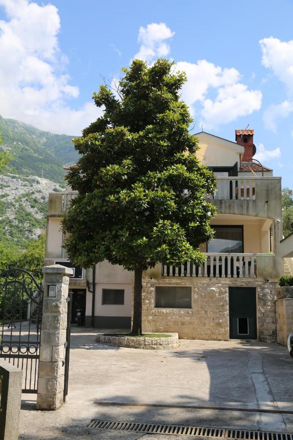 Apartmani Dijana 2 Kotor Buitenkant foto