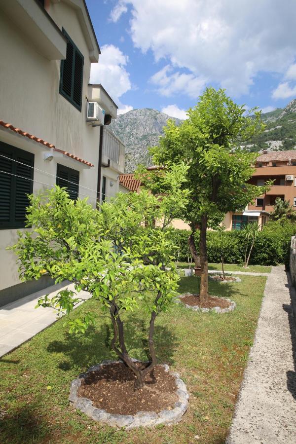 Apartmani Dijana 2 Kotor Buitenkant foto